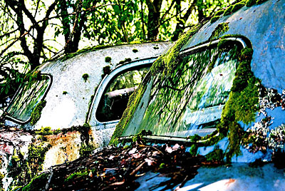 Rust never sleeps - Austin A40