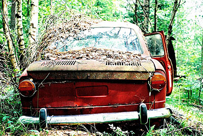 Rust never sleeps - Fiat 850