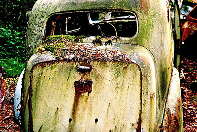 Rust never sleeps - Ford-Anglia-E-494---2