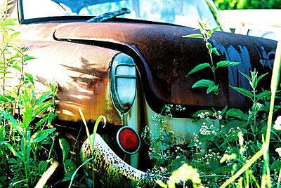 Rust never sleeps - Peugeot 403